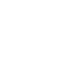 Next Image